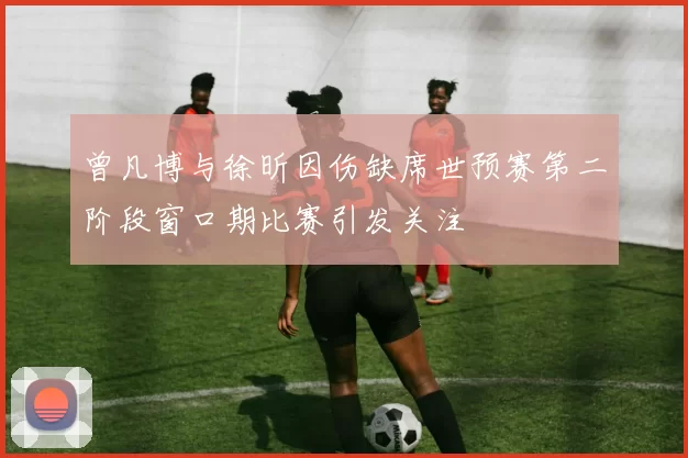 曾凡博与徐昕因伤缺席世预赛第二阶段窗口期比赛引发关注